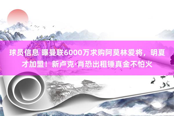 球员信息 曝曼联6000万求购阿莫林爱将，明夏才加盟！新卢克·肖恐出租锤真金不怕火