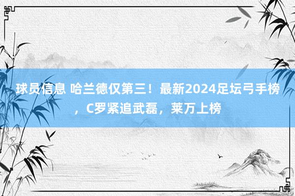 球员信息 哈兰德仅第三！最新2024足坛弓手榜，C罗紧追武磊，莱万上榜