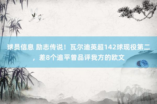 球员信息 励志传说！瓦尔迪英超142球现役第二，差8个追平曾品评我方的欧文