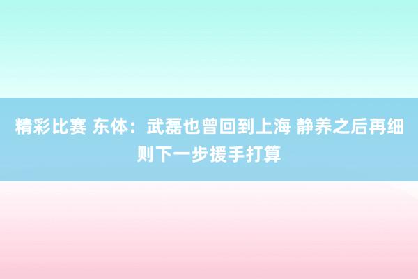 精彩比赛 东体：武磊也曾回到上海 静养之后再细则下一步援手打算