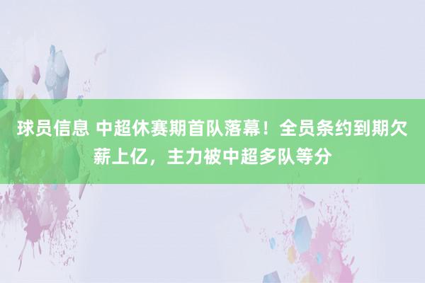 球员信息 中超休赛期首队落幕！全员条约到期欠薪上亿，主力被中超多队等分