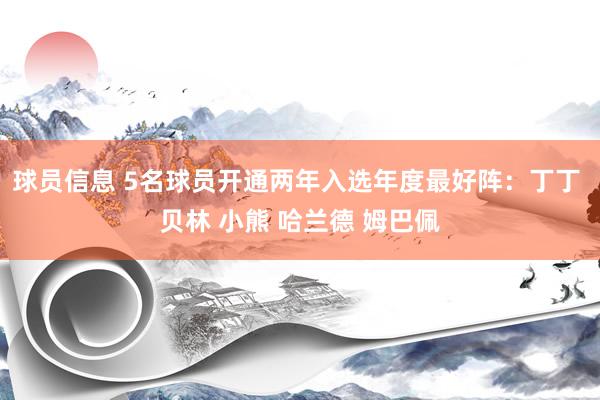 球员信息 5名球员开通两年入选年度最好阵：丁丁 贝林 小熊 哈兰德 姆巴佩